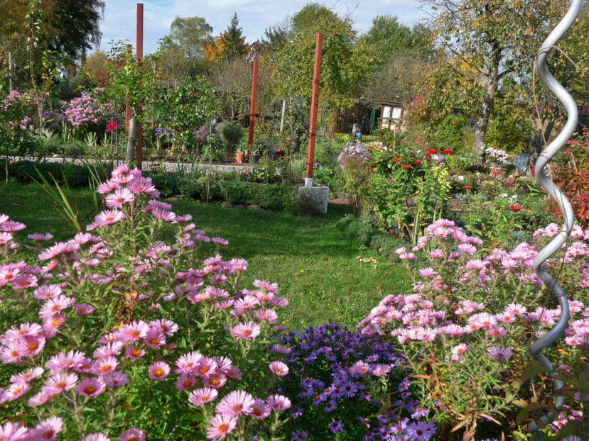  - 2017 - 03 - Toamna