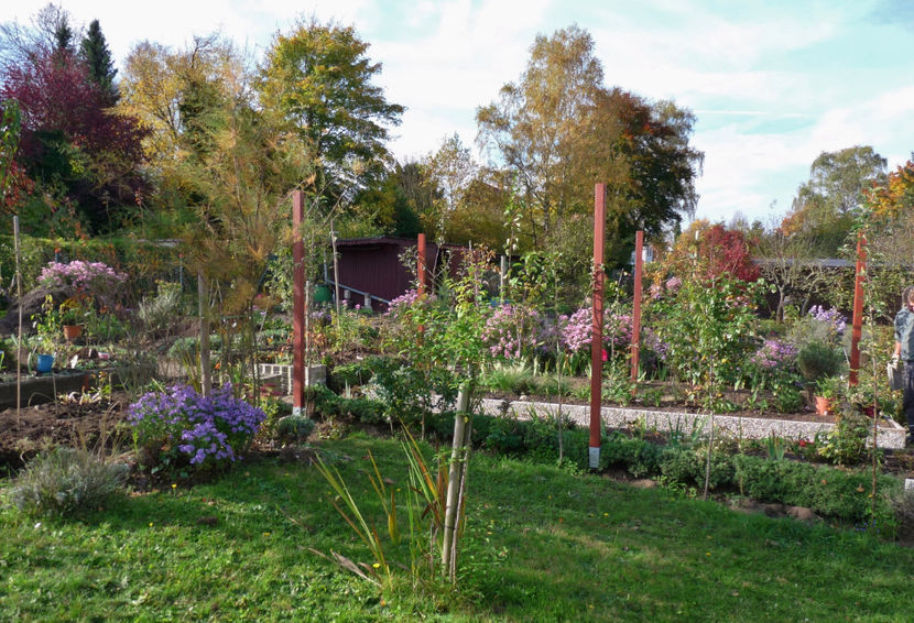  - 2017 - 03 - Toamna