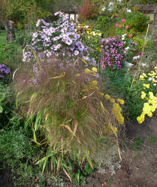  - 2017 - 03 - Toamna