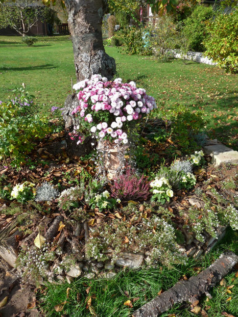  - 2017 - 03 - Toamna