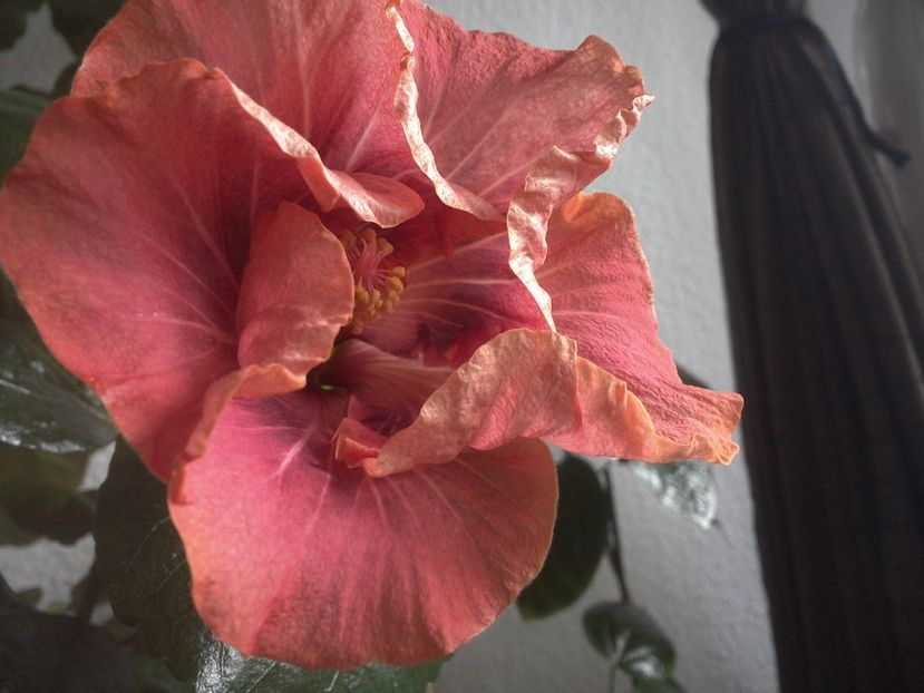 WIN_20171023_105556 - Gabriel