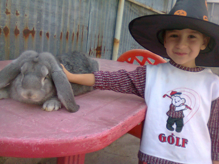 Fotografie0403 - berbec german