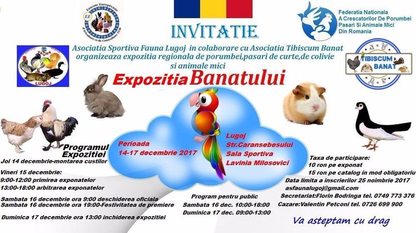  - T--TARGURI SI EXPOZITII