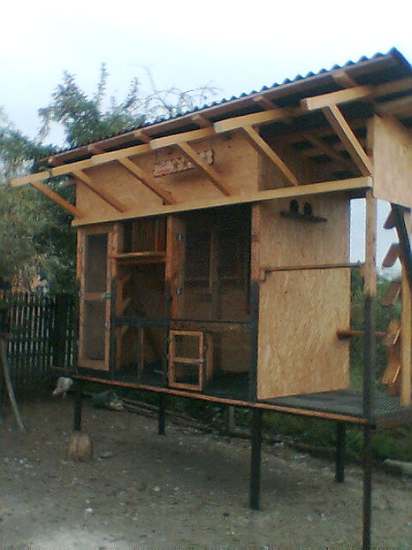 voliera  2007 - Vila Paradis - vechea si noua volieră