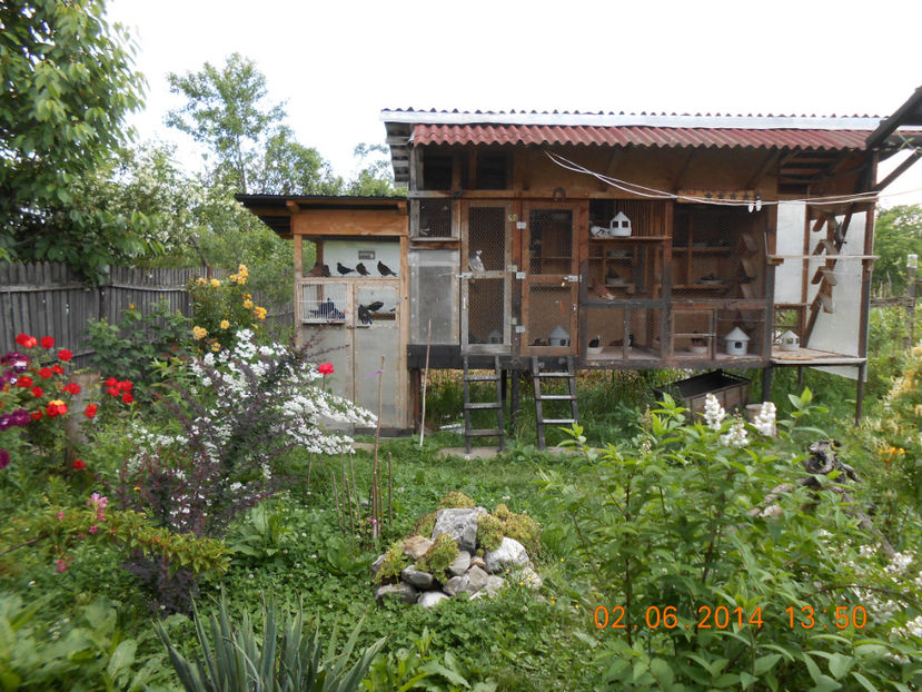 voliera 2014 - Vila Paradis - vechea si noua volieră