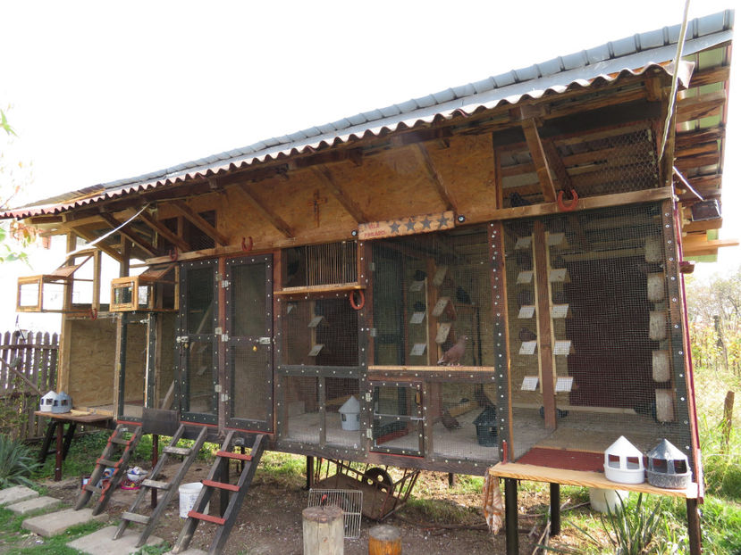  - Vila Paradis - vechea si noua volieră