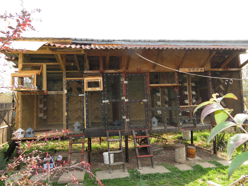  - Vila Paradis - vechea si noua volieră