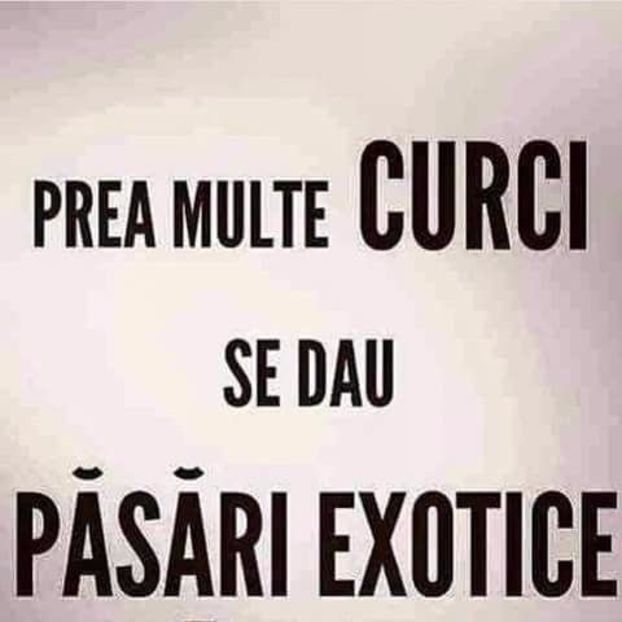  - FOR FRIENDS