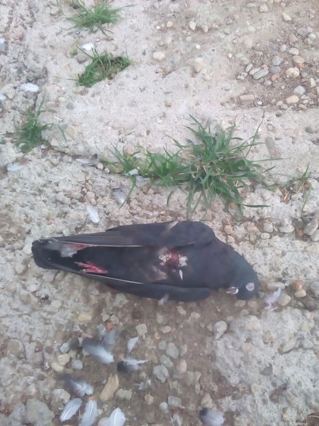  - A ramas o amintire