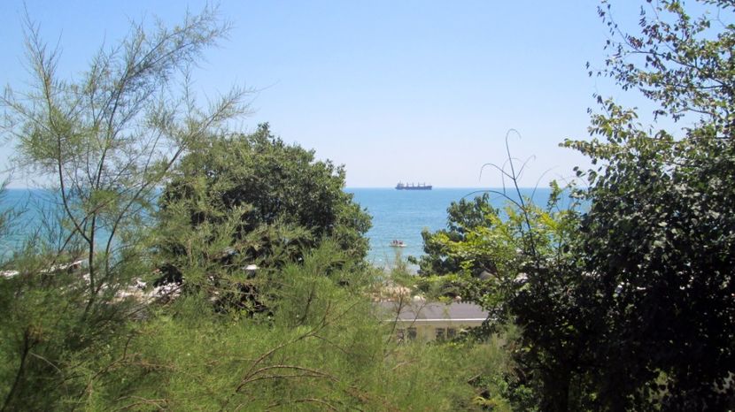 Vedere spre larg - 2017 V7