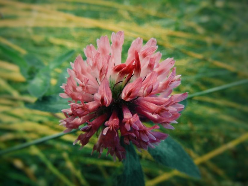  - Photo 09