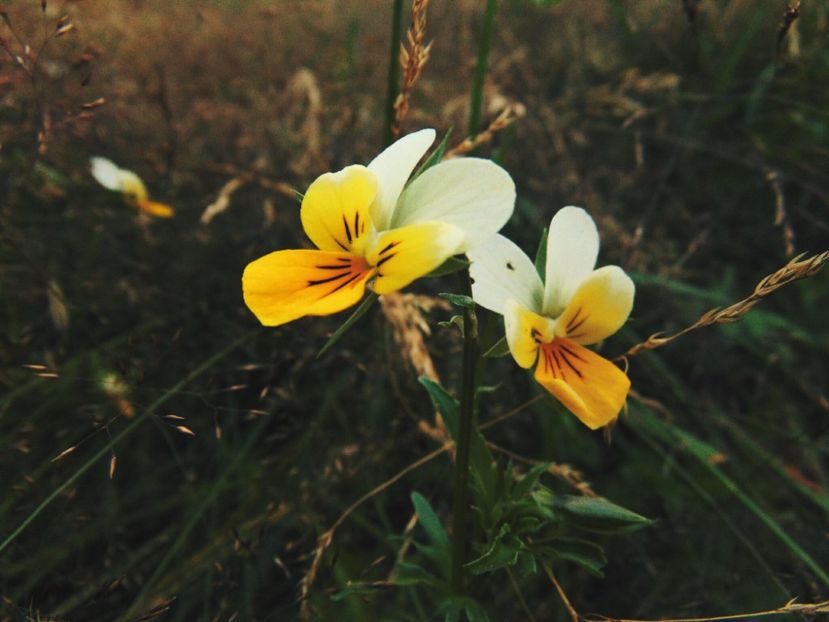 - Photo 09