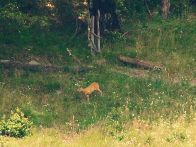  - Photo 09