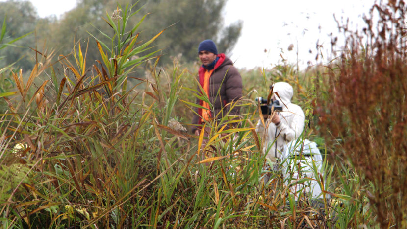 dilema - La Mila 2 - Sulina oct2017