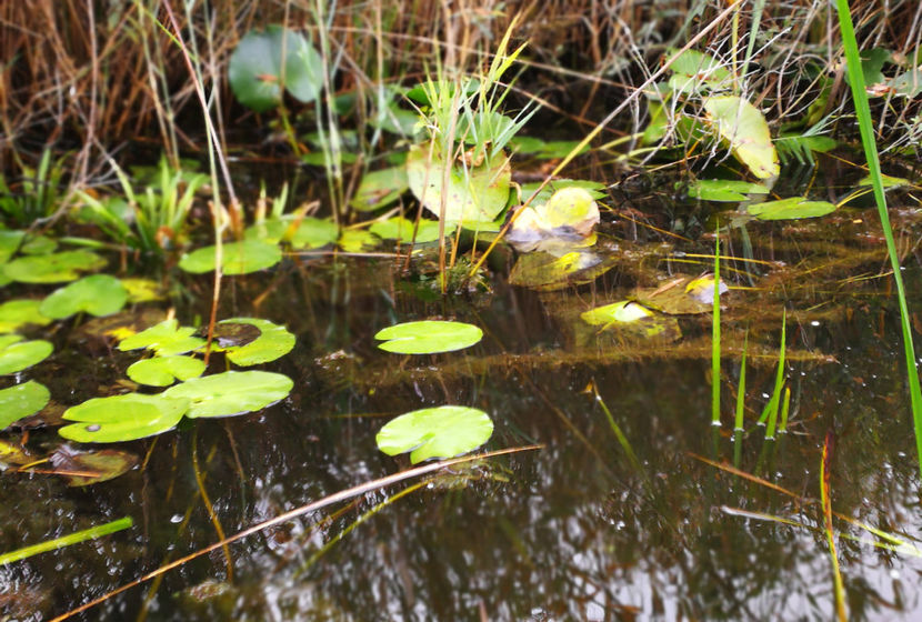  - La Mila 2 - Sulina oct2017