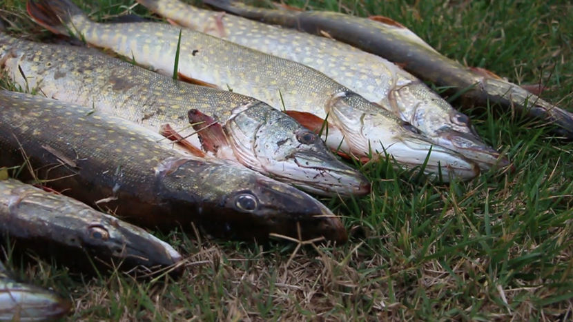 locul 3 - La Mila 2 - Sulina oct2017