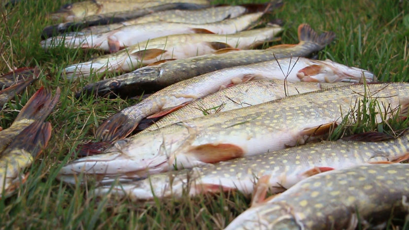 locul 2 - La Mila 2 - Sulina oct2017