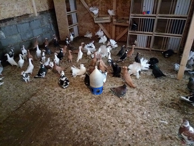  - Contact 0764396733