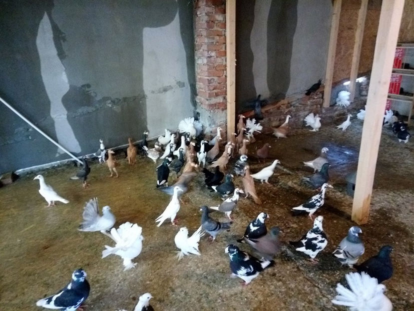  - Contact 0764396733