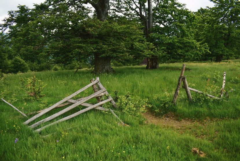  - Photo 10