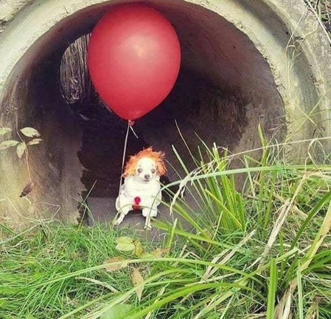 image - u pennywise the dancing clown