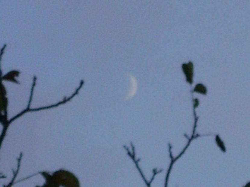 Luna noua in Capricorn - Luna - Soarele si norii - 1