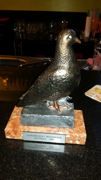  - 5 colecția mea constatatoare