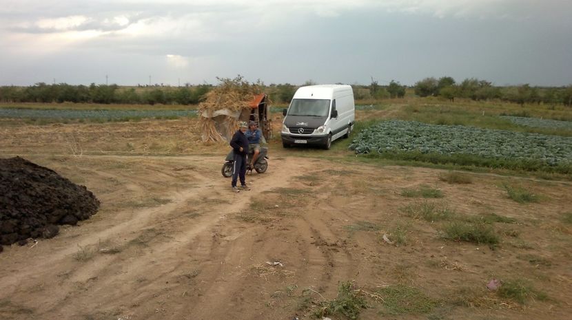  - legumicultura --ocupatia mea