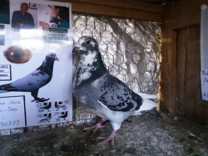  - 01 VANZARE LA PRETURI REZONABILE