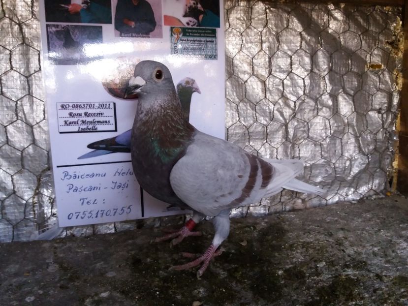  - 01 VANZARE LA PRETURI REZONABILE