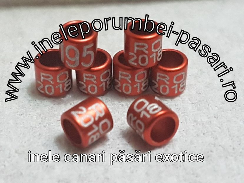 De vânzare 1,5 lei buc. - Inele pasari exotice Personalizate