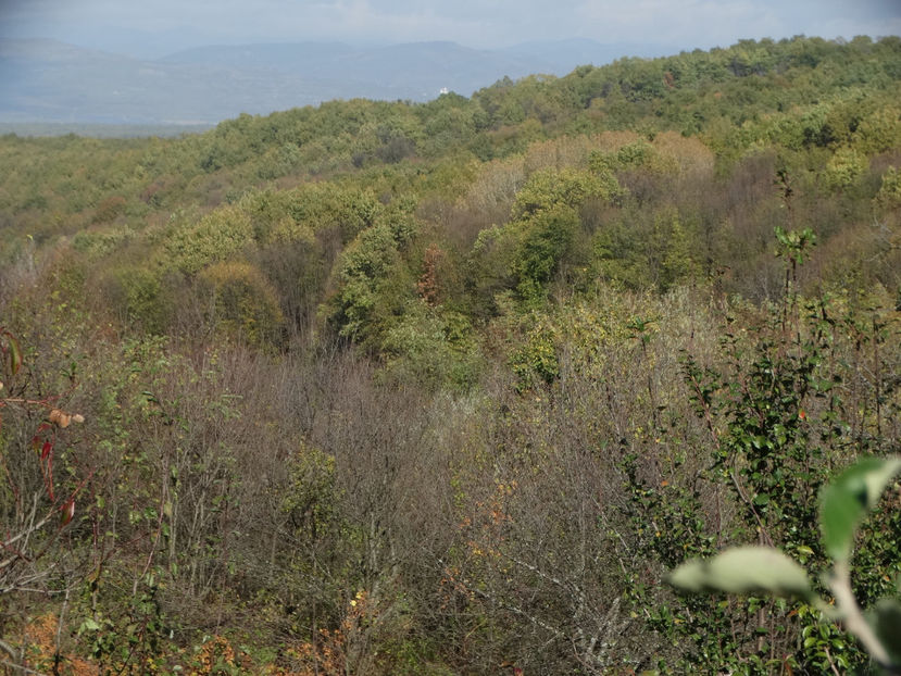 26.10 - g-toamna- 2017