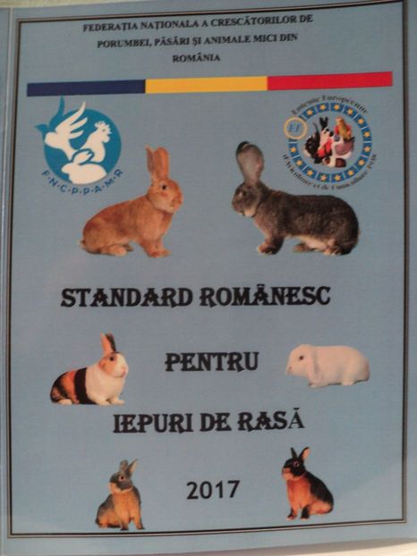  - Standard romanesc pentru iepuri de rasa