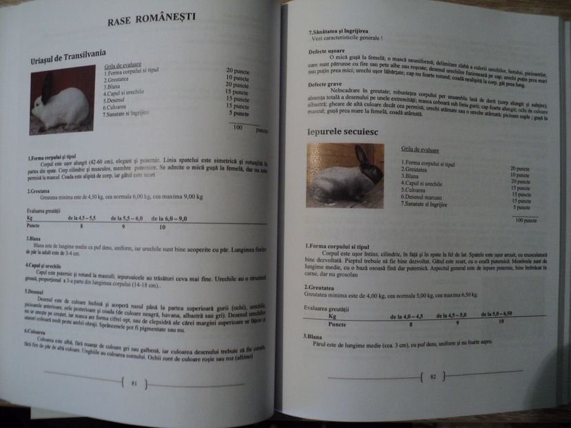  - Standard romanesc pentru iepuri de rasa