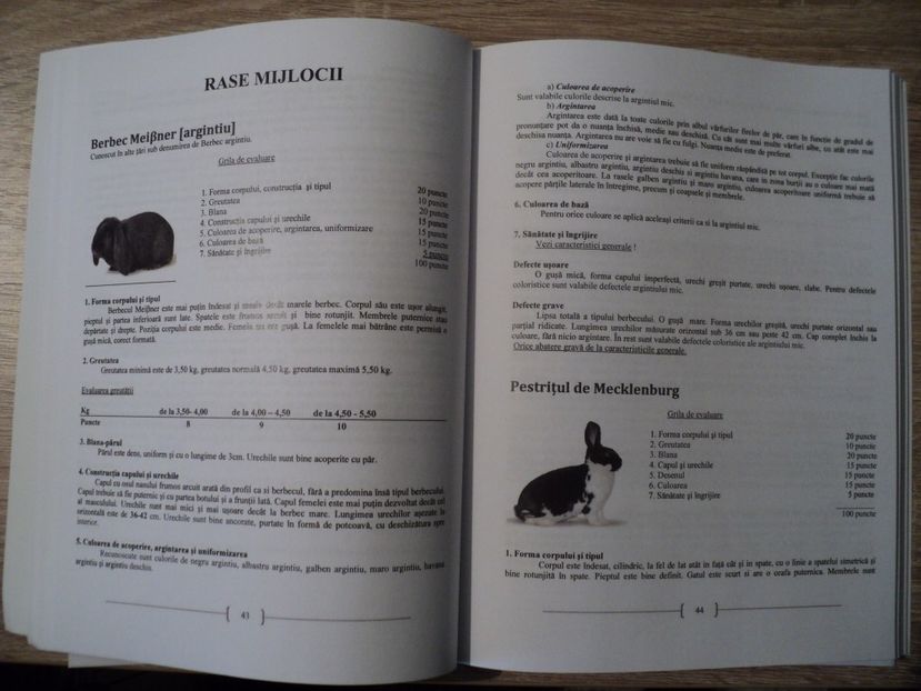  - Standard romanesc pentru iepuri de rasa