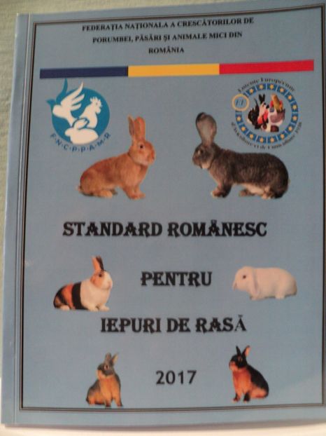  - Standard romanesc pentru iepuri de rasa