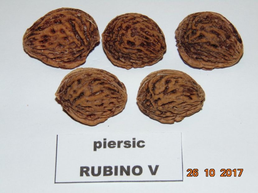 RUBINO Vasi ( maturare 1 - 15 oct ) - piersic RUBINO Vasi ----- rosu
