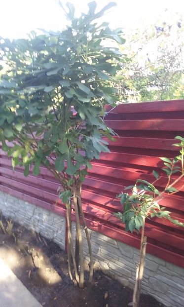 27.10.2017 - Butas Smochin Mai 2015