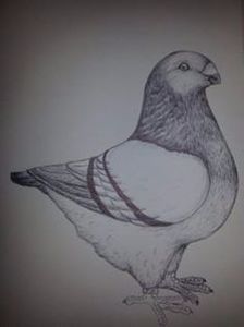 101632761_AMDMGWA - STANDARD