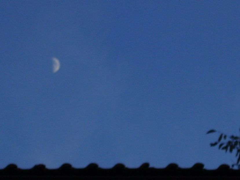 Primul patrar, Luna in Varsator - Luna - Soarele si norii - 1