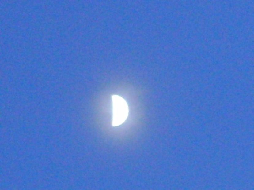 Primul patrar, Luna in Varsator - Luna - Soarele si norii - 1