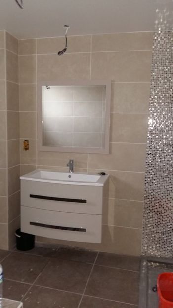  - Lucrari in Lyon 2018