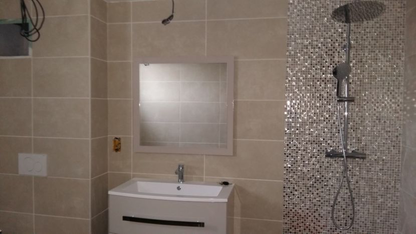  - Lucrari in Lyon 2018