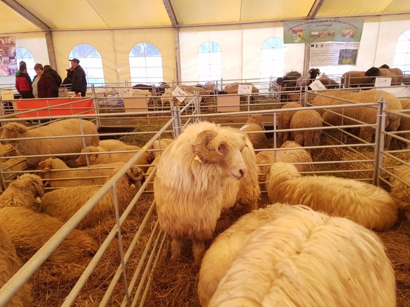 20171027_162516 - Copy - INDAGRA 2017