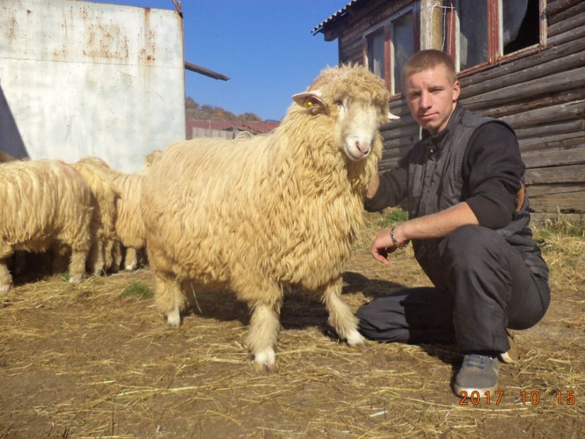  - Berbecuti 2016-2017-2018