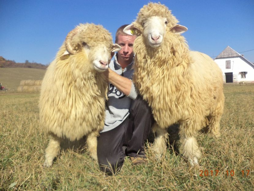  - Berbecuti 2016-2017-2018