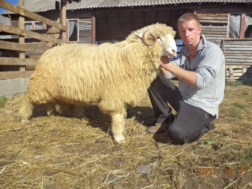  - Berbecuti 2016-2017-2018