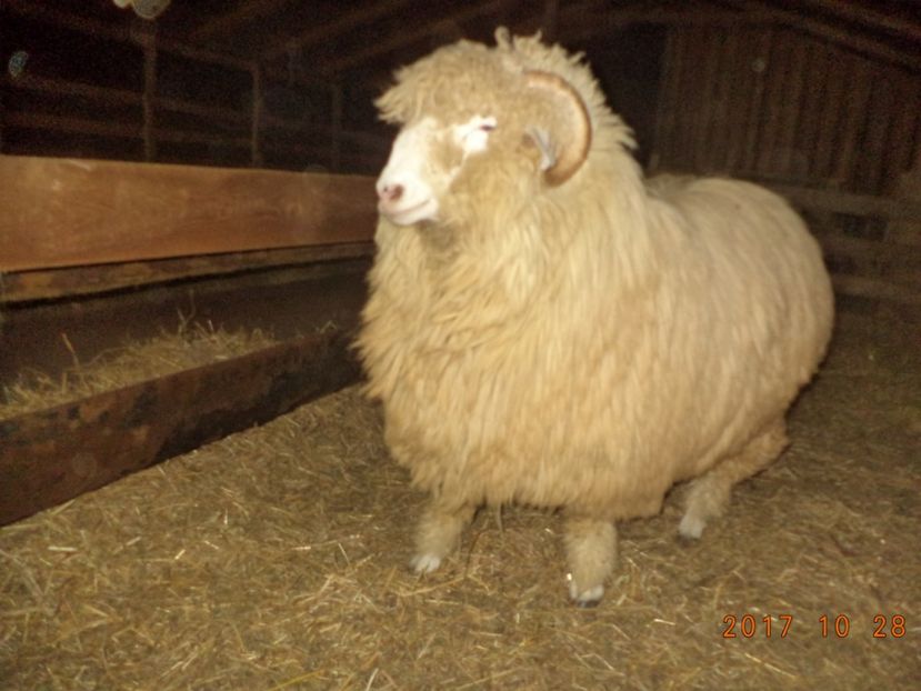  - Berbecuti 2016-2017-2018