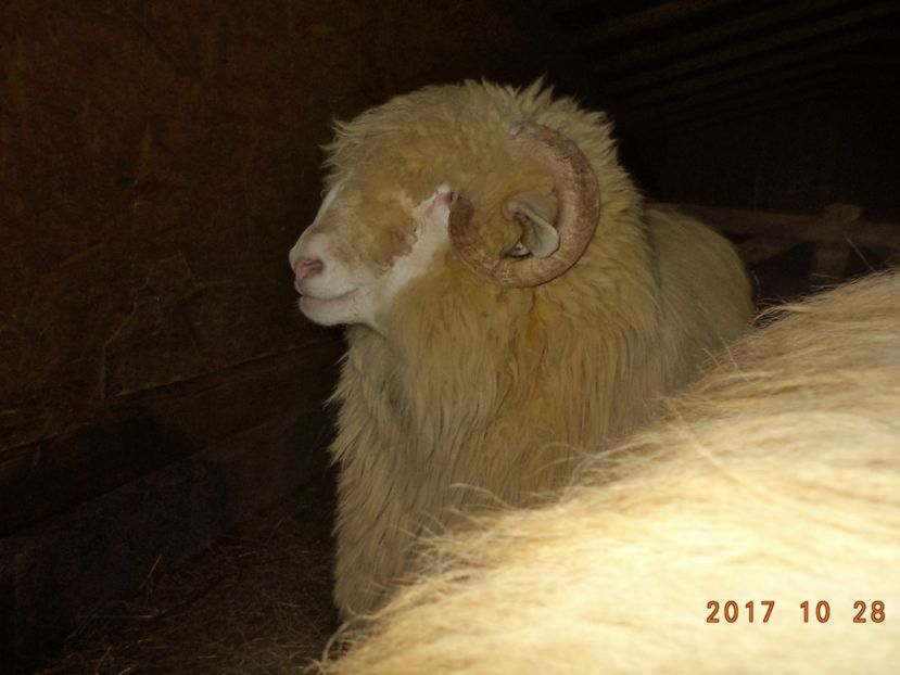  - Berbecuti 2016-2017-2018