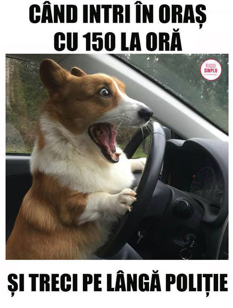 150km pe langa Politie - Funny